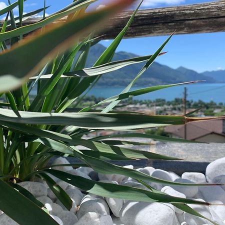 Appartamento Ai Ronchi Gordola Bagian luar foto