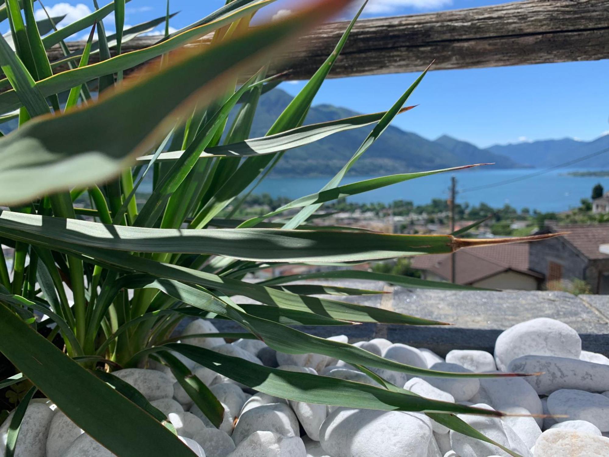 Appartamento Ai Ronchi Gordola Bagian luar foto